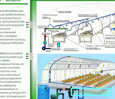 Autowatering i drivhuset: funksjoner og typer Autowatering i drivhuset: funksjoner og typer