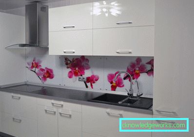 Forkle til kjøkkenet - den beste moderne designen i interiøret +89 bilder