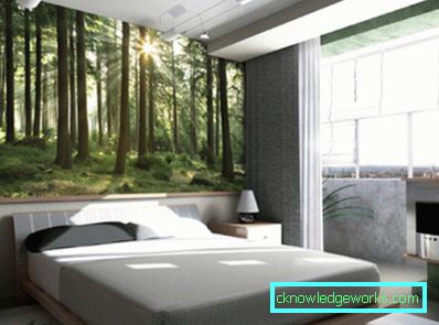 Foto: 3D-tapet vil definitivt legge til nye inntrykk av livet ditt