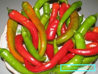 340-Hvordan vokse varm pepper