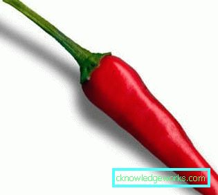 340-Hvordan vokse varm pepper