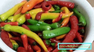 340-Hvordan vokse varm pepper