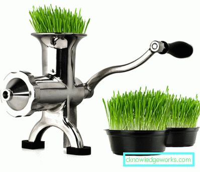Manuell Juicer Manuell Juicer