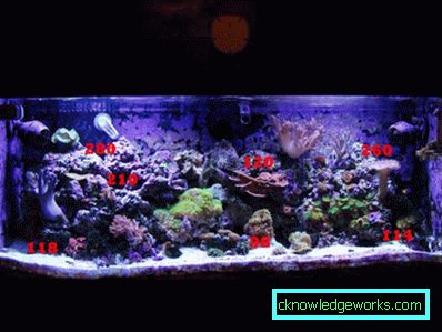 213-Lighting akvarium - 75 bilder