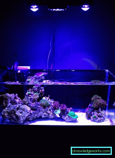 213-Lighting akvarium - 75 bilder