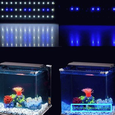 213-Lighting akvarium - 75 bilder