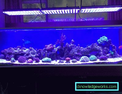 213-Lighting akvarium - 75 bilder