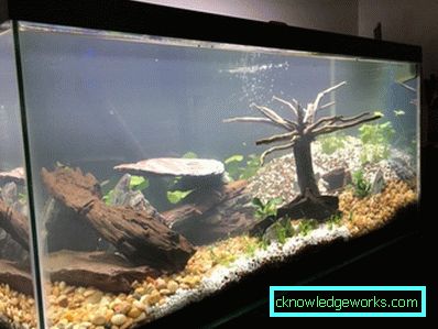 213-Lighting akvarium - 75 bilder