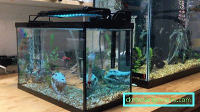 213-akvariumbelysning - 75 bilder