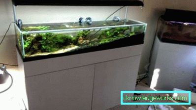 213-Lighting akvarium - 75 bilder