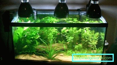 213-Lighting akvarium - 75 bilder