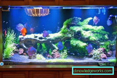 213-Lighting akvarium - 75 bilder