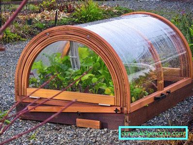 Hvordan lage et drivhus for planter? Hvordan lage et drivhus for planter?