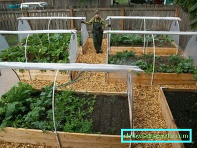 Hvordan lage et drivhus for planter? Hvordan lage et drivhus for planter?