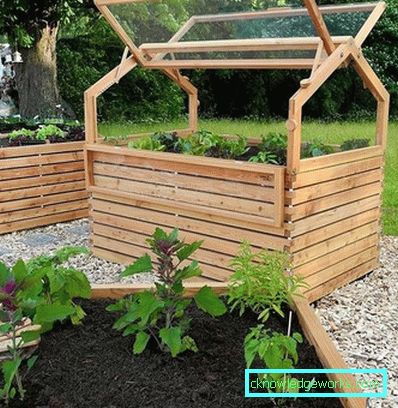 Hvordan lage et drivhus for planter? Hvordan lage et drivhus for planter?