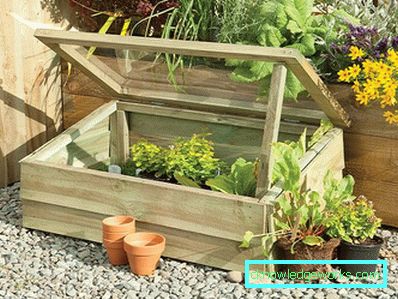 Hvordan lage et drivhus for planter? Hvordan lage et drivhus for planter?