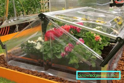 Hvordan lage et drivhus for planter? Hvordan lage et drivhus for planter?