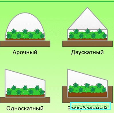 Hvordan lage et drivhus for planter? Hvordan lage et drivhus for planter?