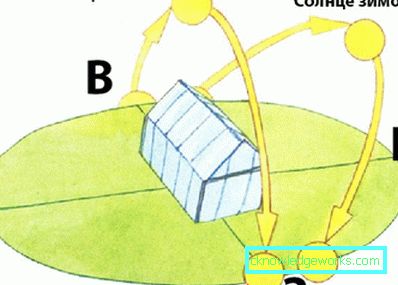 Hvordan lage et drivhus for planter? Hvordan lage et drivhus for planter?