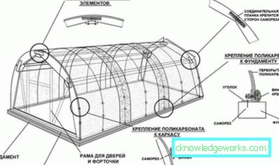 Hvordan lage et drivhus for planter? Hvordan lage et drivhus for planter?