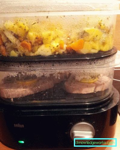 Braun damper Braun damper