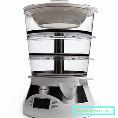 Kenwood Steamer Kenwood Steamer