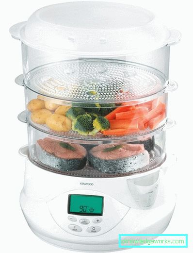 Kenwood Steamer Kenwood Steamer