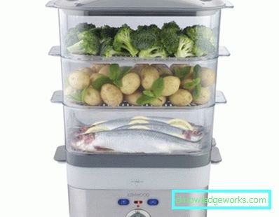 Kenwood Steamer Kenwood Steamer