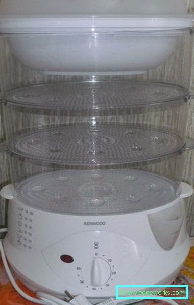 Kenwood Steamer Kenwood Steamer