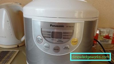 Panasonic Steamer Panasonic Steamer