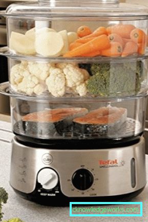 Steamer Tefal og alle sine modeller Steamer Tefal og alle sine modeller