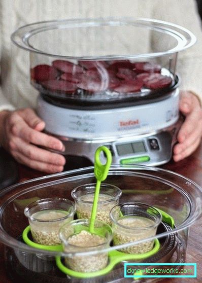 Steamer Tefal og alle sine modeller Steamer Tefal og alle sine modeller