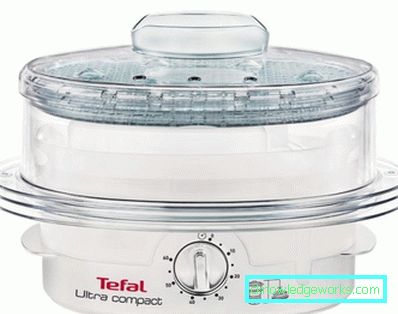 Steamer Tefal og alle sine modeller Steamer Tefal og alle sine modeller