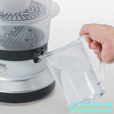 Steamer Tefal og alle sine modeller Steamer Tefal og alle sine modeller