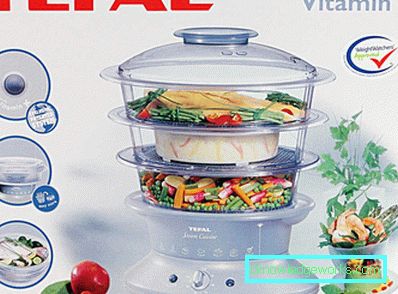 Steamer Tefal og alle sine modeller Steamer Tefal og alle sine modeller