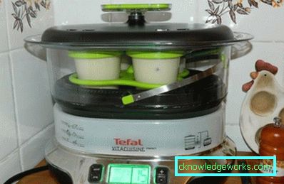 Steamer Tefal og alle sine modeller Steamer Tefal og alle sine modeller