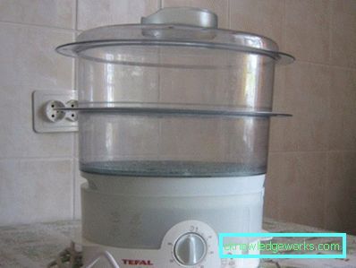 Steamer Tefal og alle sine modeller Steamer Tefal og alle sine modeller