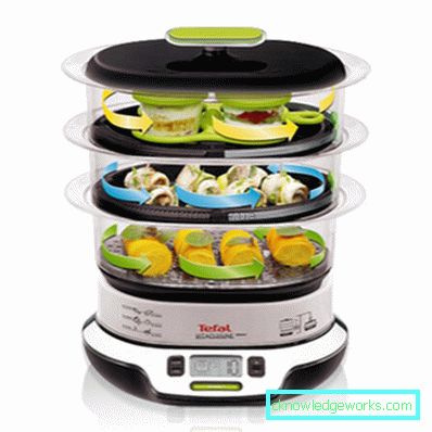 Steamer Tefal og alle sine modeller Steamer Tefal og alle sine modeller