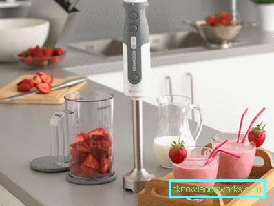 Vurder de beste nedsenkbare blenderne fra kjente merkevarer Vurder de beste nedsenkbare blenderne fra kjente merkevarer