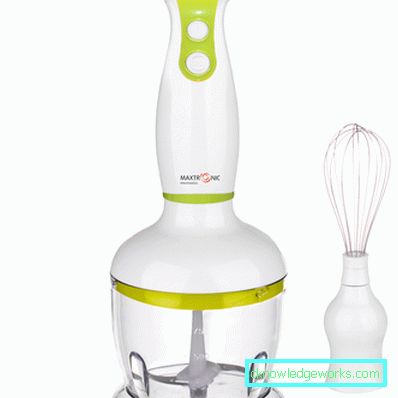 Immersion blender med en visp Neddykkbar blender med visp