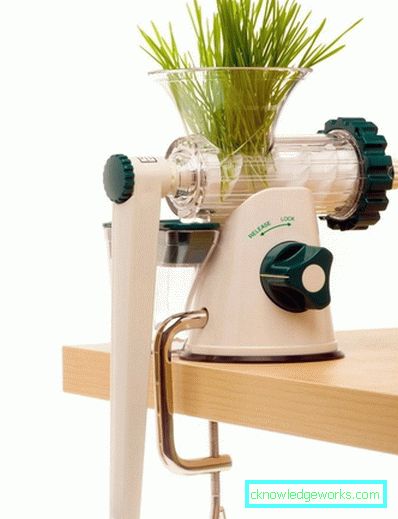 Manuell Juicer Manuell Juicer