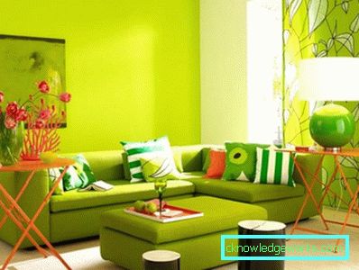 89-Lime stue - 70 bilder