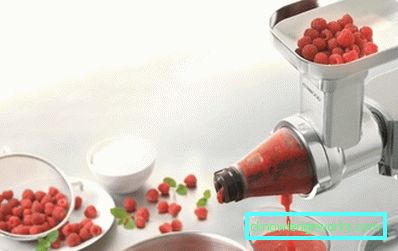 Auger Juicer Auger Juicer