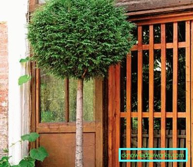 286 standardplanter