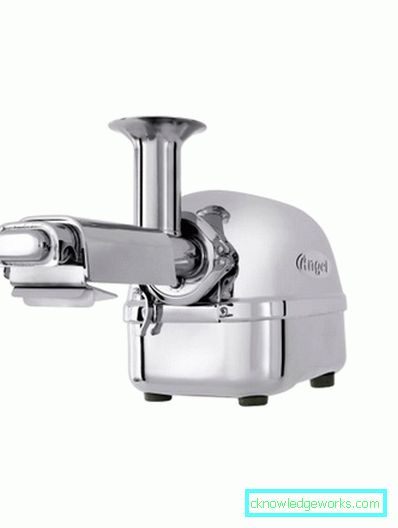 Juicer Angel Juicer Angel