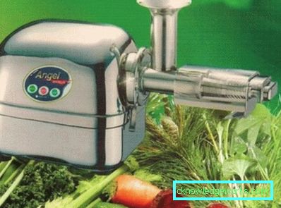 Juicer Angel Juicer Angel