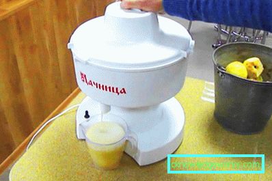 Stor kapasitetsjuicer for epler Stor kapasitetsjuicer for epler