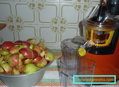Stor kapasitetsjuicer for epler Stor kapasitetsjuicer for epler