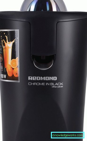 Redmond Juicer