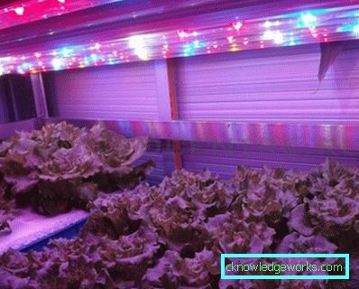 90-LED plante lys